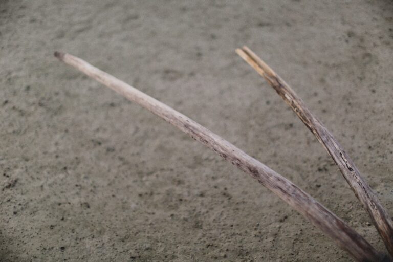 Photo Joint regeneration natural