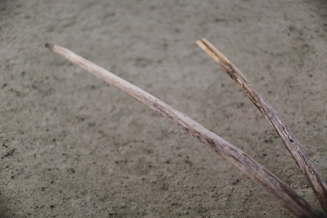 Photo Joint regeneration natural